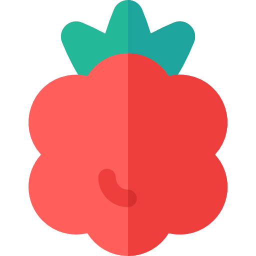 Raspberry icon