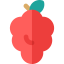 Grape icon 64x64