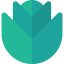 Lettuce icon 64x64