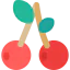 Cherry icon 64x64
