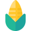 Corn icon 64x64