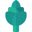Artichoke biểu tượng 64x64