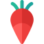 Radish icon 64x64