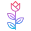 Flower icon 64x64