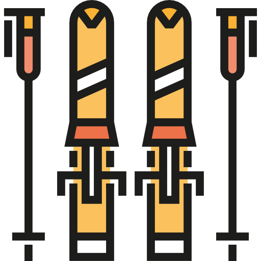 Ski icon
