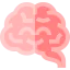 Brain icon 64x64