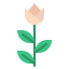 Flower icon 64x64