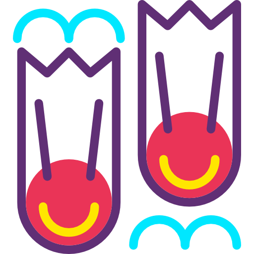 Flipper icon
