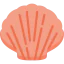 Оболочка иконка 64x64