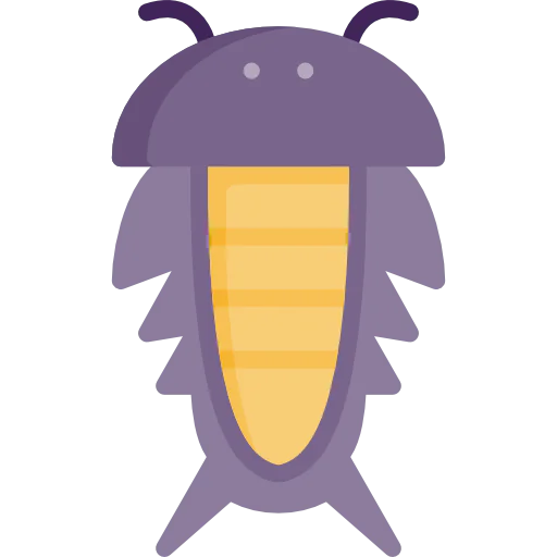 Insect icon