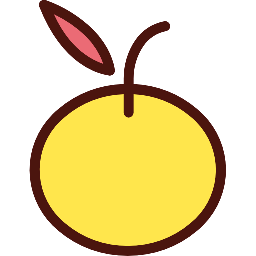 Orange icon