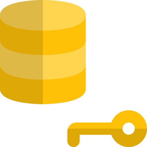 Key icon