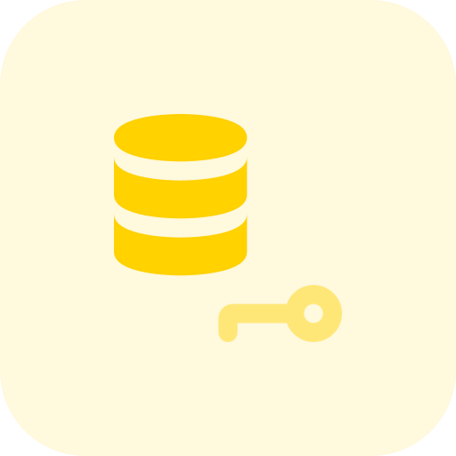 Key icon