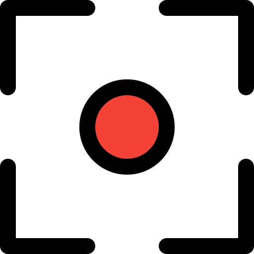 Record icon