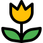 Macro icon 64x64