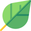 Leaf icon 64x64