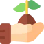 Sprout icon 64x64