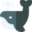 Whale icon 64x64
