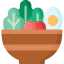 Salad icon 64x64