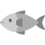 Fish icon 64x64