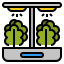 Hydroponic gardening Symbol 64x64
