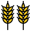 Wheat icon 64x64