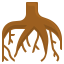 Root icon 64x64