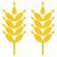 Wheat icon 64x64