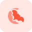 Night icon 64x64