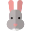 Rabbit icon 64x64