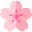 Cherry blossom icon 64x64
