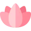 Blossom Symbol 64x64