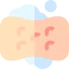 Sponge icon 64x64