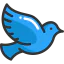 Pigeon icon 64x64