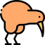Kiwi icon 64x64