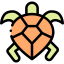 Turtle icon 64x64