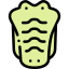 Crocodile icon 64x64
