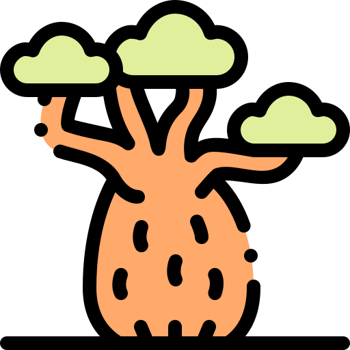 Baobab icon