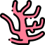 Coral icon 64x64