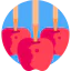 Caramelized apple icon 64x64