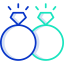 Wedding rings icon 64x64