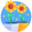 Sunflower Ikona 64x64