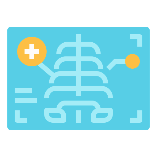 X ray icon