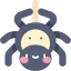 Spider icon 64x64