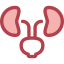 Kidneys Symbol 64x64