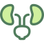 Kidneys Symbol 64x64