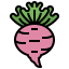 Turnip Ikona 64x64