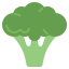 Broccoli icon 64x64