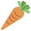 Carrot icon 64x64