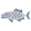 Fish icon 64x64